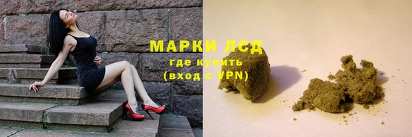 a pvp Аркадак