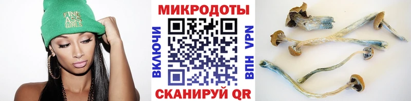 где купить наркотик  Урус-Мартан  Псилоцибиновые грибы Cubensis 